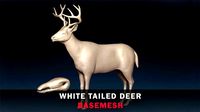White Tailed Deer Base Mesh