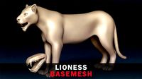 Lioness Base Mesh