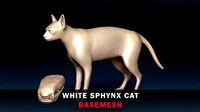 White Sphynx Cat Base Mesh