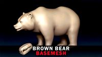 Brown Bear Base Mesh