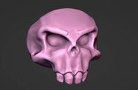Skull