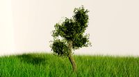 DETAILED Tree in the meadow blend obj fbx and stl