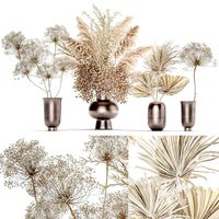 set of bouquets of dried flowers pampas grass 236