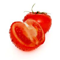 tomato vegetable food