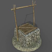 tropical well