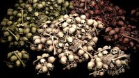 pile of bones and skulls set