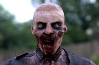Zombie Man - Humanoid Rig - Animated