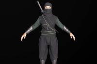 Samurai ninja
