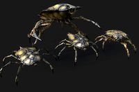 Insect Crawlers Collection