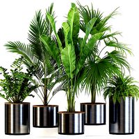 Plants collection 543