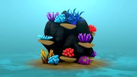 Coral Reef