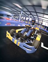 Karting