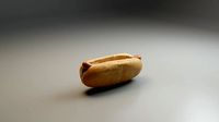 Hotdog