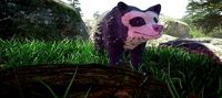 Spectacled Bear Game Ready Model Unreal Engine