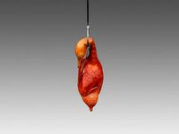 Hanging Roast Duck