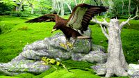Eagle Attack 2