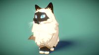 manya is a cute cat