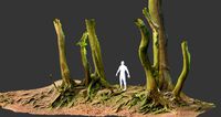 beech oak roots tree big assemble