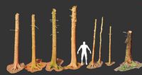 fir conifer tree trunk dead scan pbr