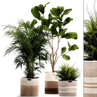 ornamental plants in fabric baskets for decoration 1092