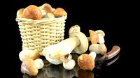mushrooms in high quality with textures and materials just drop into your scenes and render