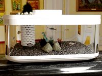 xiaomi brand aquarium