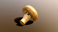 Chestnut Mushroom