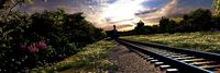 train