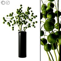 plant indoor 05