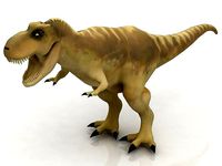 3D Tyrannosaurus Rex
