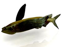 Parexo 3D model