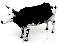Cow 3D model