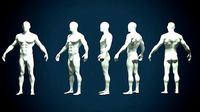 Male Body