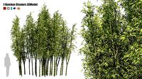 2 Bamboo Clusters