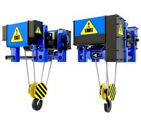 Electric crane hoist