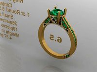 FSEN RING