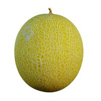 Cantaloupe
