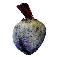 Beetroot