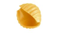 Pasta Small Conchiglie macaroni
