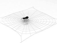3D Spider model
