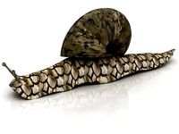 Snail 3D model