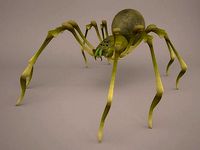 3D Lycosa Tarantula