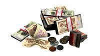 Money Loot - Soviet Rubles