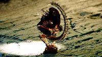 Alien Birth