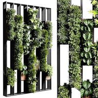 plants set partition in  Vertical graden wall decor box