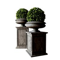 Boxwood samshit Set 04