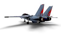 Grumman F-14