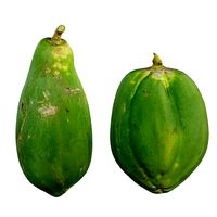 papaya
