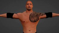 The Rock Rigged