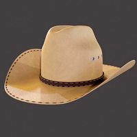 Stetson Western Hat